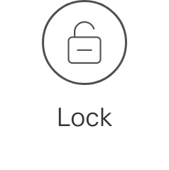 Lock button